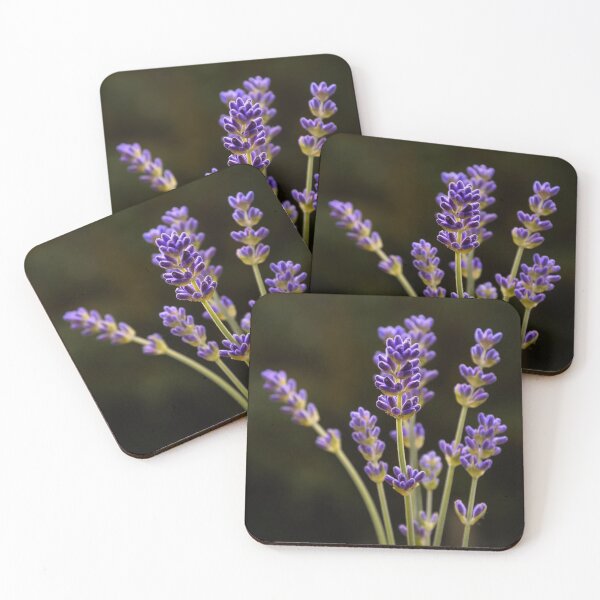 Item preview, Lavender designed and sold by JEZ22.