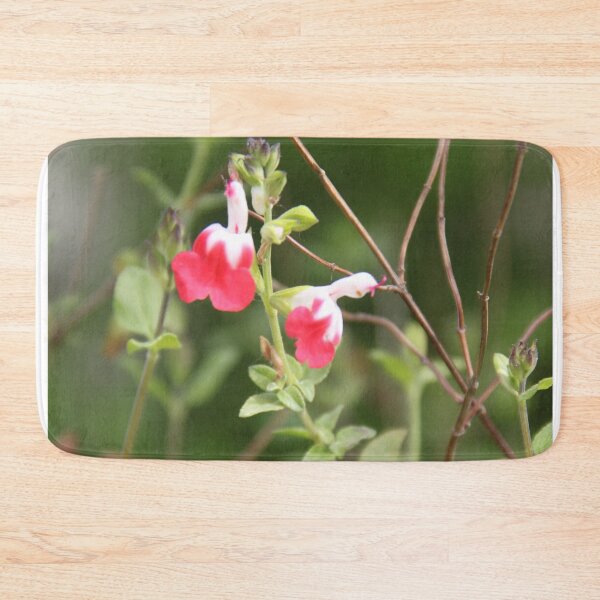 Item preview, Baby Graham's blackcurrant sage hot lips	 designed and sold by EstelleRossetti.