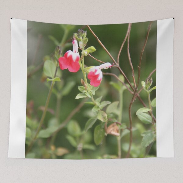 Item preview, Baby Graham's blackcurrant sage hot lips	 designed and sold by EstelleRossetti.