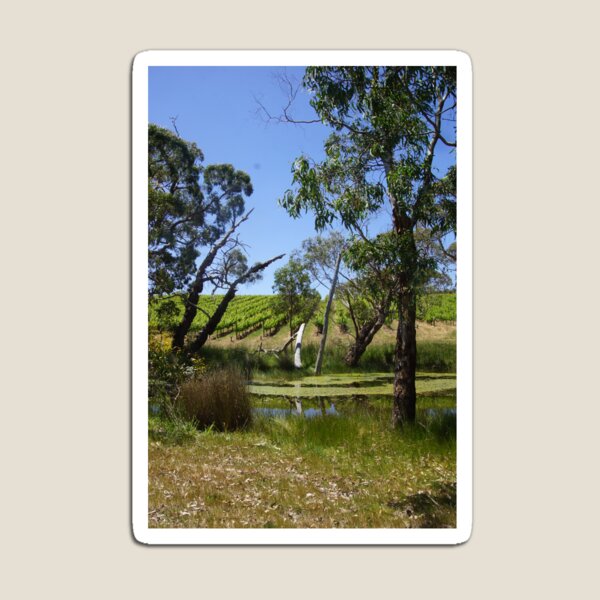 Vines - Magpie Springs - Adelaide Hills Wine Region - Fleurieu Peninsula - Winery Magnet