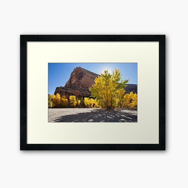 Jenny Lind Rock Framed Art Print
