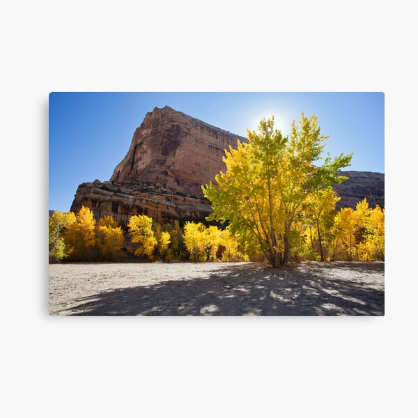 Jenny Lind Rock Canvas Print