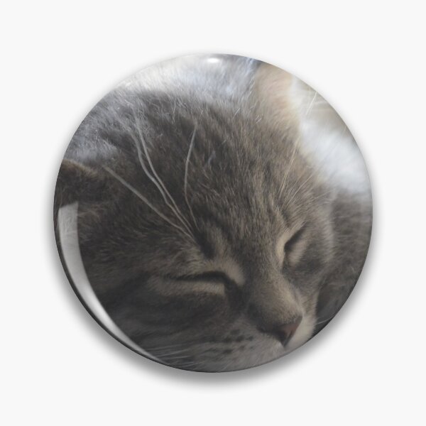 Item preview, Cat Nap designed and sold by Steve Stones.