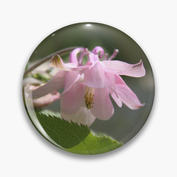 Item preview, Colorful pastel columbine granny's bonnet spring wildflowers	 designed and sold by EstelleRossetti.
