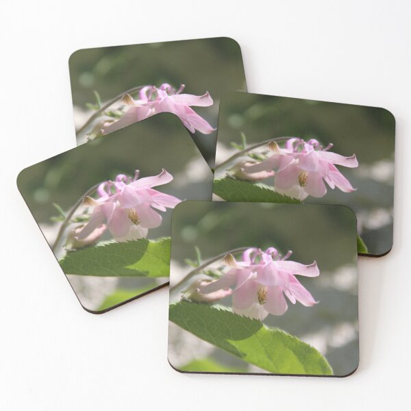 Item preview, Colorful pastel columbine granny's bonnet spring wildflowers	 designed and sold by EstelleRossetti.
