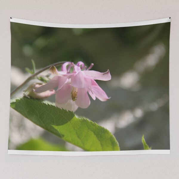Item preview, Colorful pastel columbine granny's bonnet spring wildflowers	 designed and sold by EstelleRossetti.