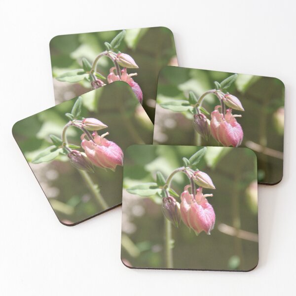 Item preview, Colorful pastel columbine granny's bonnet spring wildflowers	 designed and sold by EstelleRossetti.