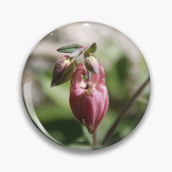 Item preview, Colorful pastel columbine granny's bonnet spring wildflowers	 designed and sold by EstelleRossetti.