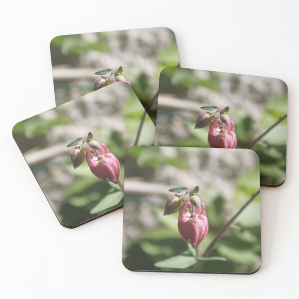 Item preview, Colorful pastel columbine granny's bonnet spring wildflowers	 designed and sold by EstelleRossetti.