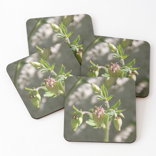 Item preview, Colorful pastel columbine granny's bonnet spring wildflowers	 designed and sold by EstelleRossetti.