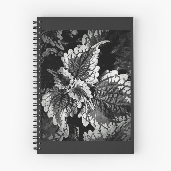 Item preview, Beauty without color designed and sold by LMcK.