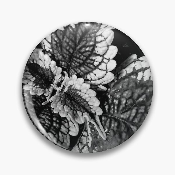 Item preview, Beauty without color designed and sold by LMcK.