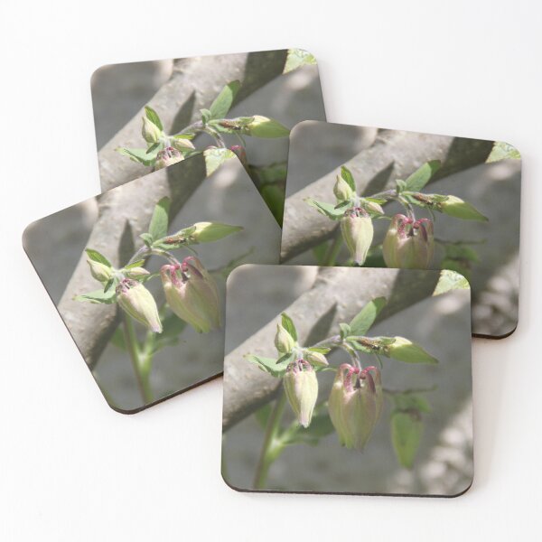 Item preview, Colorful pastel columbine granny's bonnet spring wildflowers	 designed and sold by EstelleRossetti.