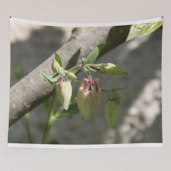 Item preview, Colorful pastel columbine granny's bonnet spring wildflowers	 designed and sold by EstelleRossetti.