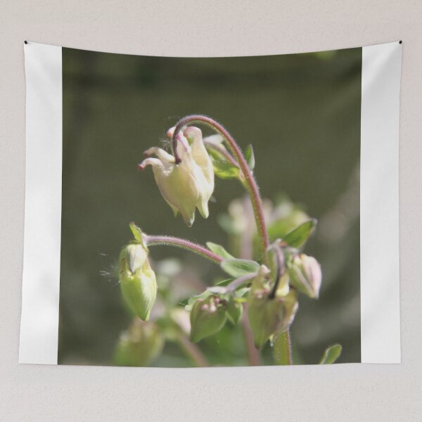 Item preview, Colorful pastel columbine granny's bonnet spring wildflowers	 designed and sold by EstelleRossetti.