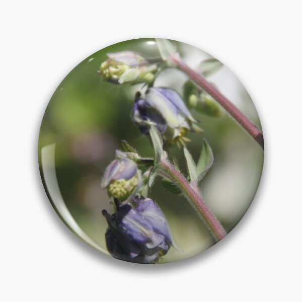 Item preview, Colorful pastel columbine granny's bonnet spring wildflowers	 designed and sold by EstelleRossetti.