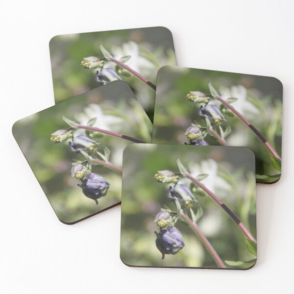 Item preview, Colorful pastel columbine granny's bonnet spring wildflowers	 designed and sold by EstelleRossetti.