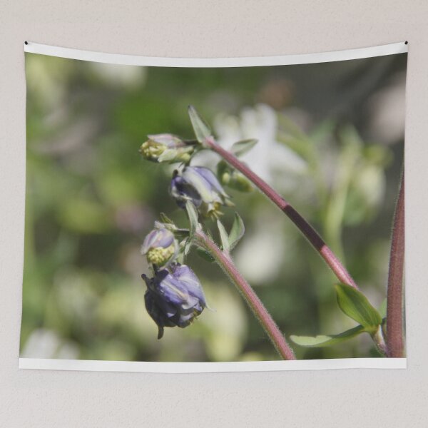 Item preview, Colorful pastel columbine granny's bonnet spring wildflowers	 designed and sold by EstelleRossetti.