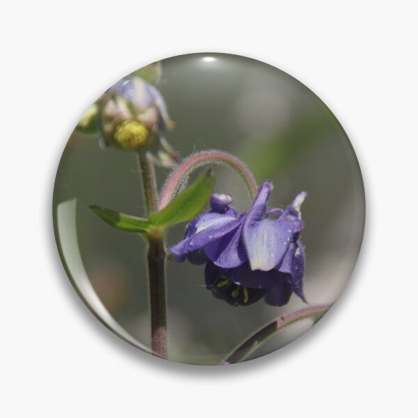 Item preview, Colorful pastel columbine granny's bonnet spring wildflowers	 designed and sold by EstelleRossetti.