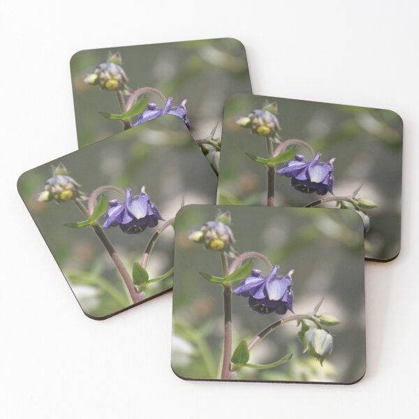 Item preview, Colorful pastel columbine granny's bonnet spring wildflowers	 designed and sold by EstelleRossetti.