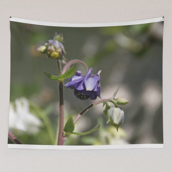 Item preview, Colorful pastel columbine granny's bonnet spring wildflowers	 designed and sold by EstelleRossetti.