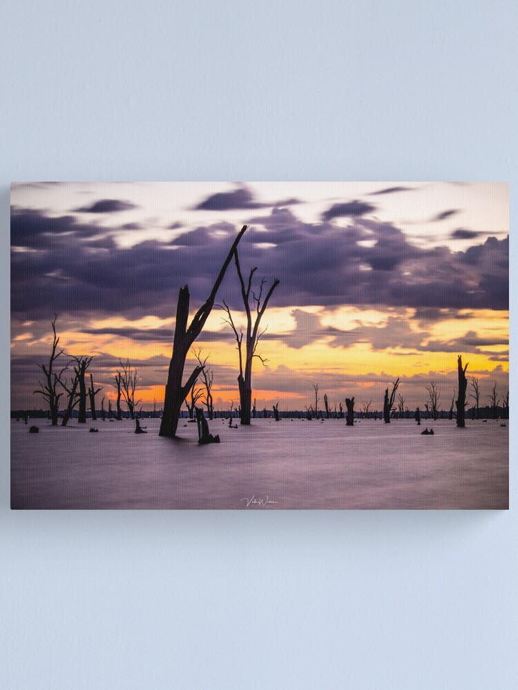Thumbnail 1 of 3, Canvas Print, Lake Mulwala, Yarrawonga, Victoria, Australia designed and sold by VickiWalsh.