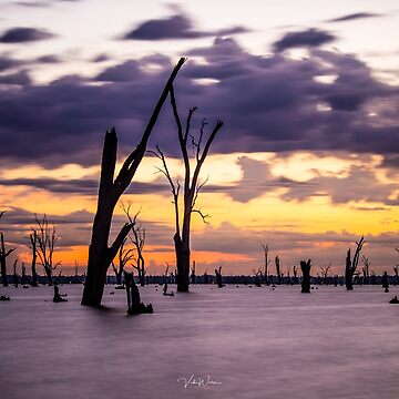 Artwork thumbnail, Lake Mulwala, Yarrawonga, Victoria, Australia by Vicki Walsh