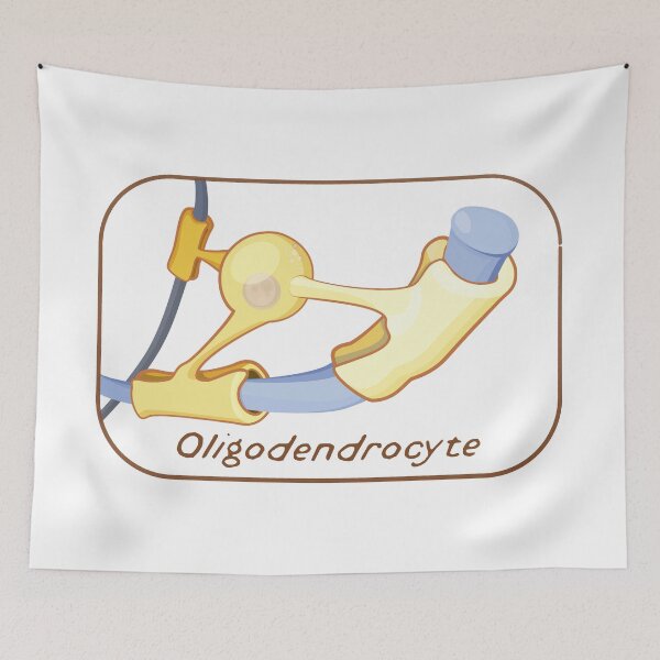 Item preview, Oligodendrocyte designed and sold by John Chilton.