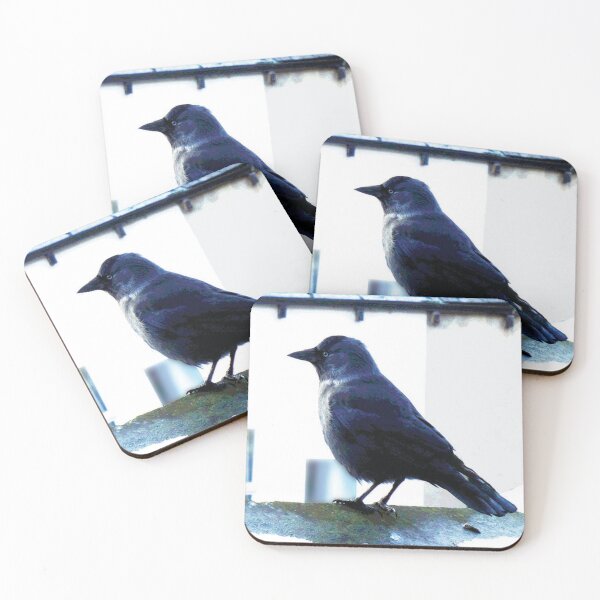 Item preview, Jackdaw  designed and sold by Marju Rose.