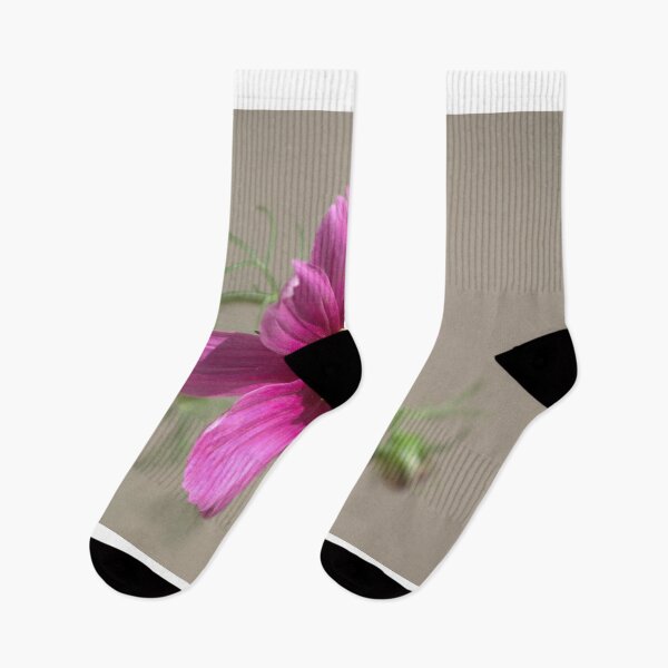Item preview, Cosmos flower designed and sold by ana dawani.
