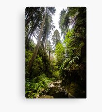 Giants Stand, Giants Roamed Canvas Print