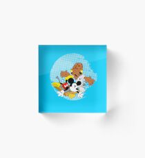 I told you so! Acrylic Block