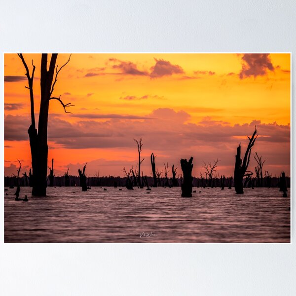 Item preview, Lake Mulwala, Yarrawonga, Victoria, Australia designed and sold by Vicki Walsh.