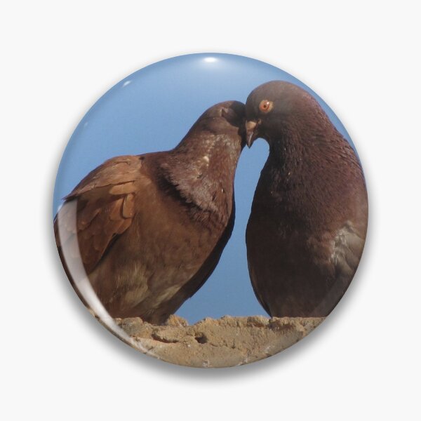 Item preview, Love Birds, Tunisia, Photograph by Noora Elkoussy designed and sold by Noora Elkoussy.