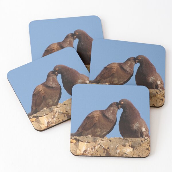 Item preview, Love Birds, Tunisia, Photograph by Noora Elkoussy designed and sold by Noora Elkoussy.
