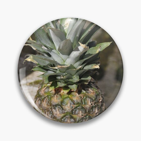 Artikelvorschau, Pineapple whole fruit and leaves texture entworfen und verkauft von EstelleRossetti.