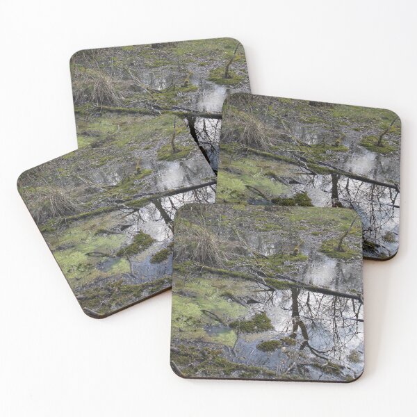 Item preview, Forest swamp during springtime natural reserve	 designed and sold by EstelleRossetti.