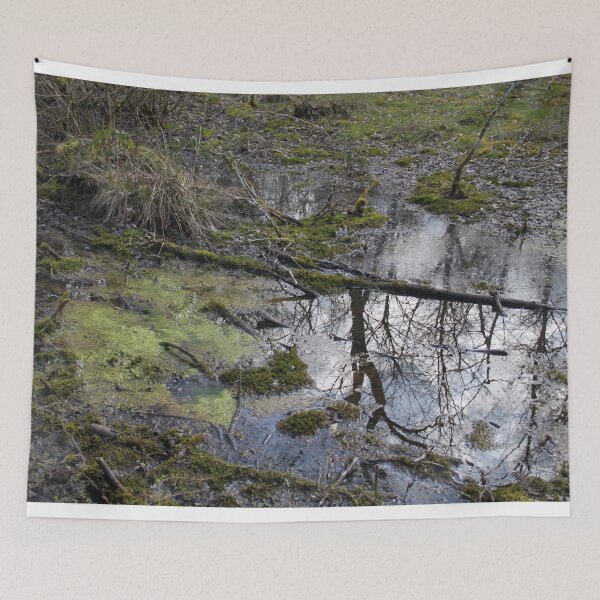 Item preview, Forest swamp during springtime natural reserve	 designed and sold by EstelleRossetti.