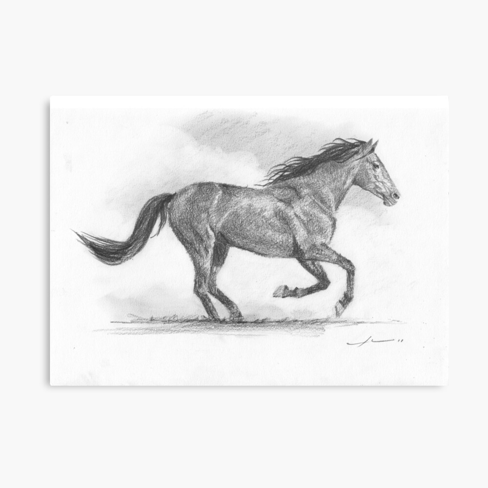 Galloping Horse Drawing by Pandora Art - Pixels