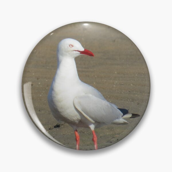 Item preview, Silver Gull designed and sold by Genevieve Hanlon Art and Photography.