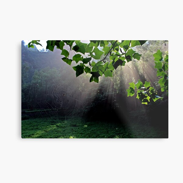 Morning, Wulingyuan National Park, Hunan Metal Print