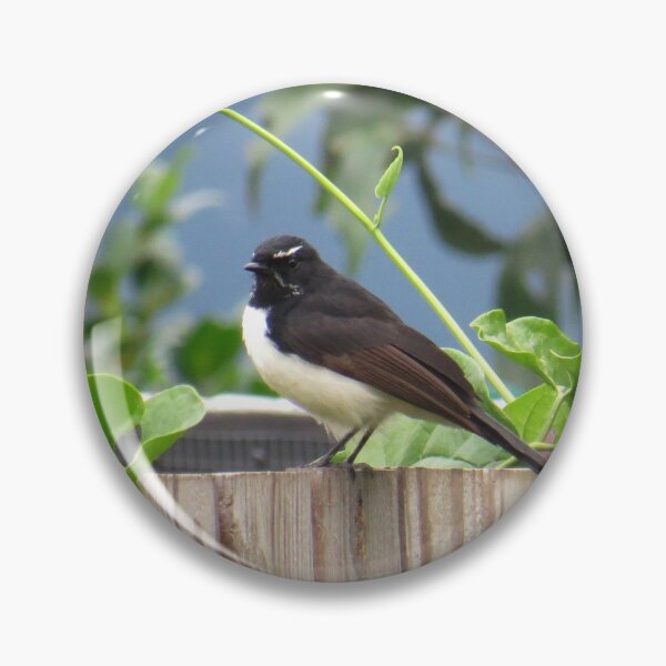 Item preview, Willy Wagtail 2 designed and sold by Genevieve Hanlon Art and Photography.