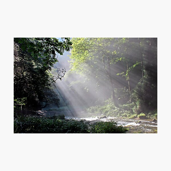 Morning, Wulingyuan National Park, Hunan Photographic Print