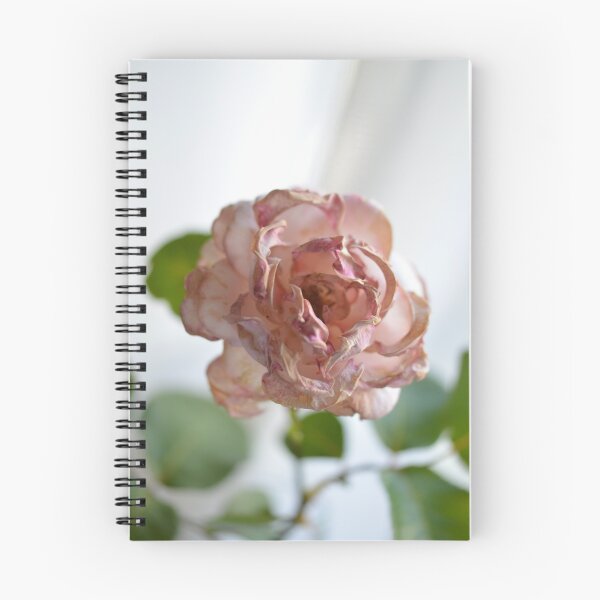 Item preview, Scorched pink rose designed and sold by VallyDalPra.