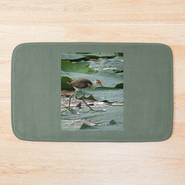 Item preview, Comb Crested Jacana designed and sold by Genevieve Hanlon Art and Photography.
