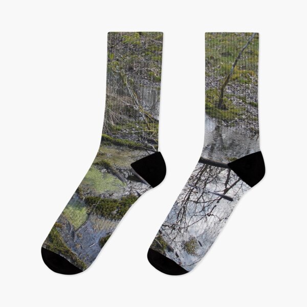 Item preview, Forest swamp during springtime natural reserve	 designed and sold by EstelleRossetti.