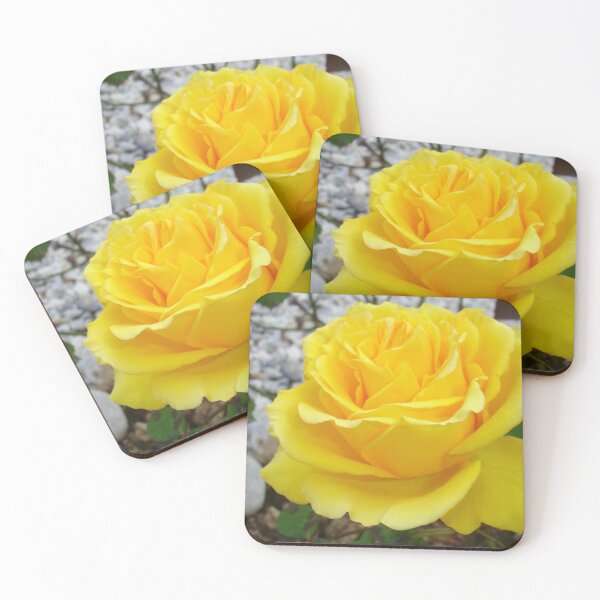 Item preview, Beautiful Yellow Rose with Natural Garden Background designed and sold by taiche.