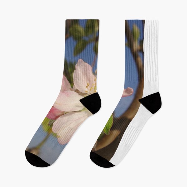 Item preview, Apple Blossom designed and sold by taiche.