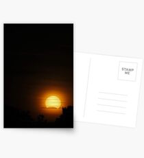Solar Eclipse - November 14 2012 Postcards