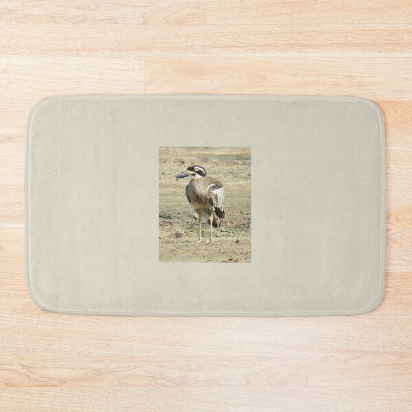 Item preview, Beach Stone Curlew designed and sold by Genevieve Hanlon Art and Photography.